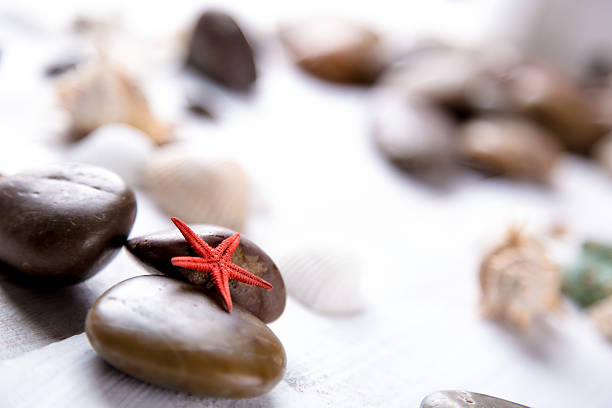 Plenty of stones and shells on the beach