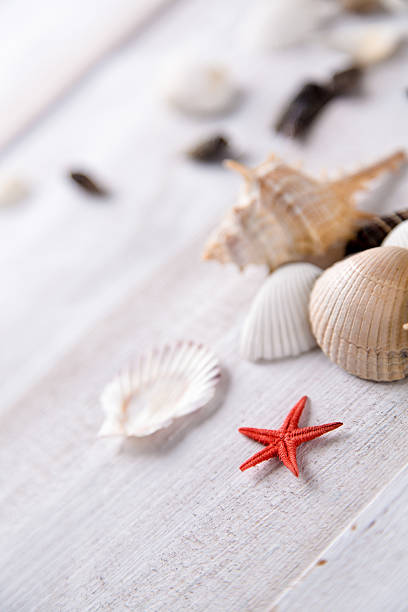 istock Sea and beach, natural colorful concept 475083750