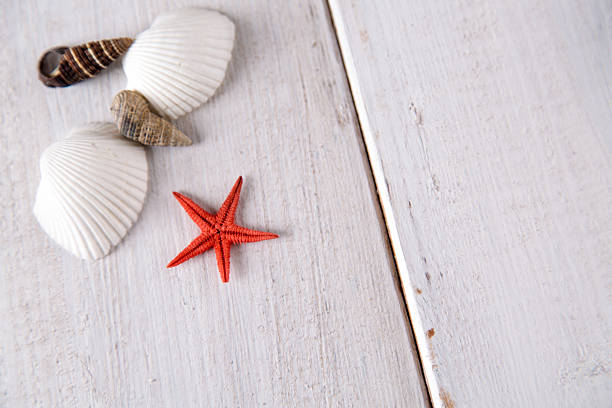 istock Sea and beach, natural colorful concept 475084804