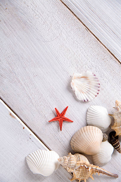 istock Sea and beach, natural colorful concept 475084808