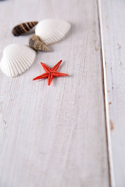 istock Sea and beach, natural colorful concept 475084816