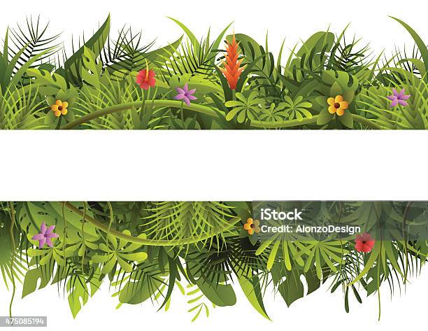 Tropical Forest Banner Stock Illustration - Download Image Now - Rainforest, Leaf, Border - Frame