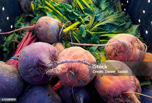 Farm Fresh Red And Yellow Beets At A Farmers Market Stock Photo - Download Image Now