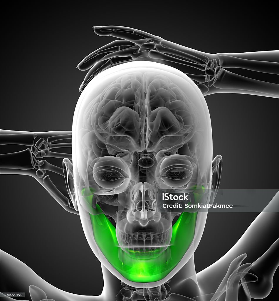 3 D 렌더링됨 일러스트레이션 턱뼈 2015년에 대한 스톡 사진 및 기타 이미지 - 2015년, 3차원 형태, 건강관리와 의술 ...