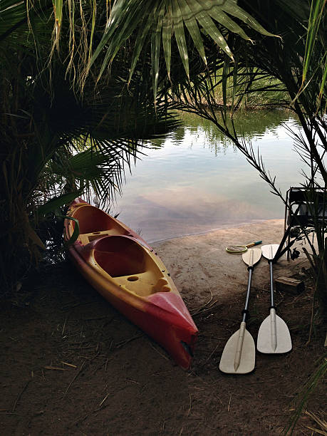 Kayak and Paddles stock photo