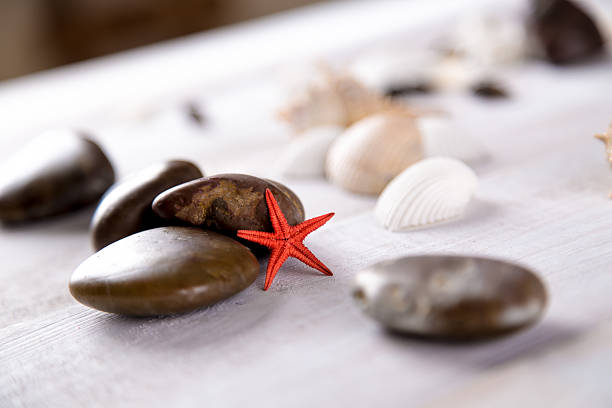 istock Plenty of stones and shells on the beach 475097714