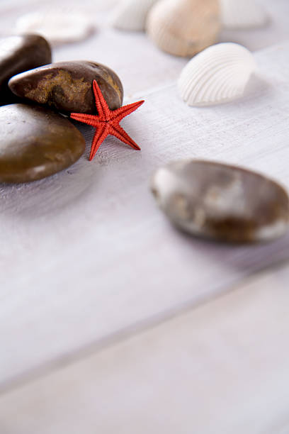 istock Plenty of stones and shells on the beach 475097816