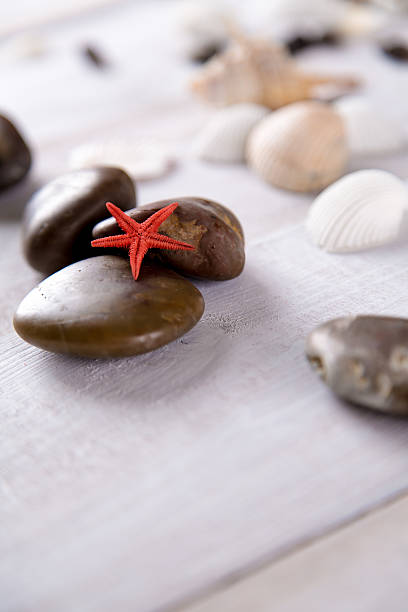 istock Plenty of stones and shells on the beach 475098152