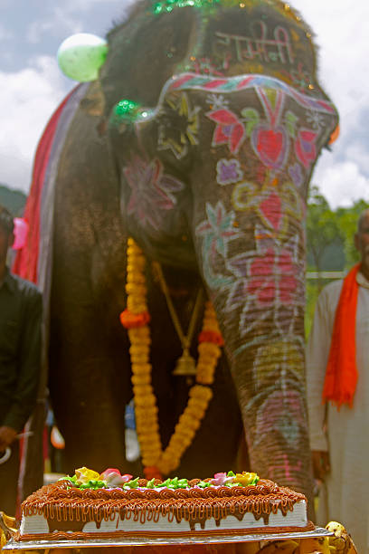 istock Close-up of a painted elephant, India 475098647