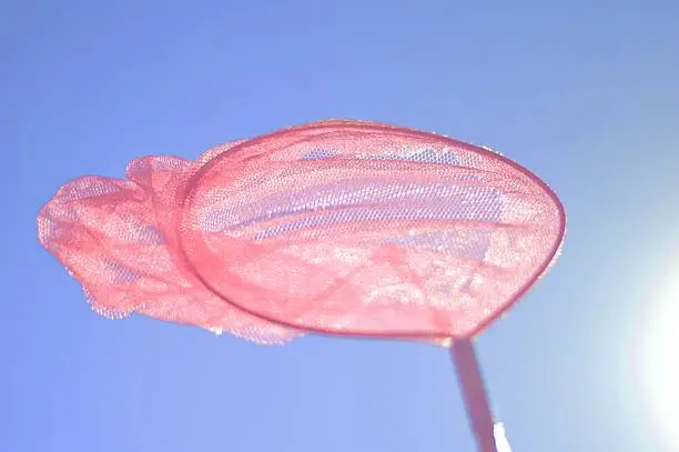 Child's pink fishing net held up against the blue sky