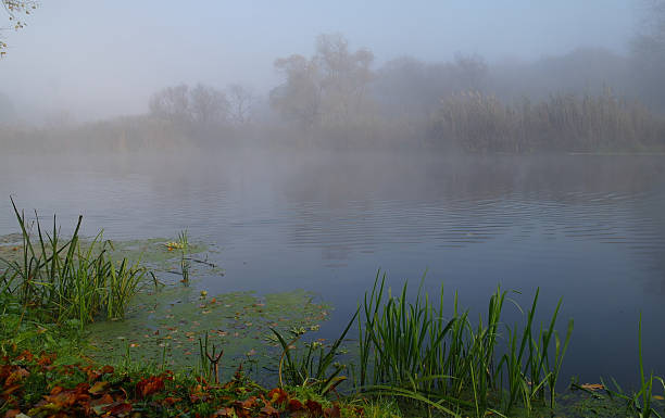 istock River landscape and  autumn wood 475099896