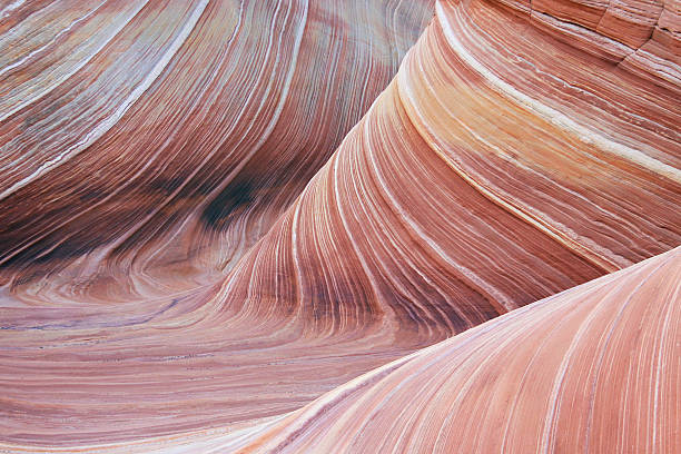 The Wave The wave in southern Utah doing the wave stock pictures, royalty-free photos & images