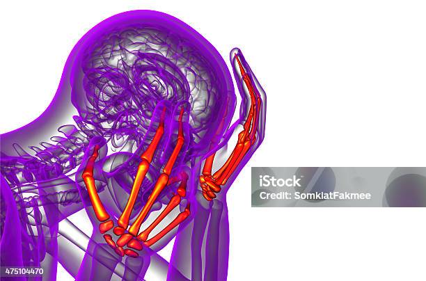 3d Render Illustration Of The Skeleton Hand Stock Photo - Download Image Now - 2015, Anatomy, Arthritis