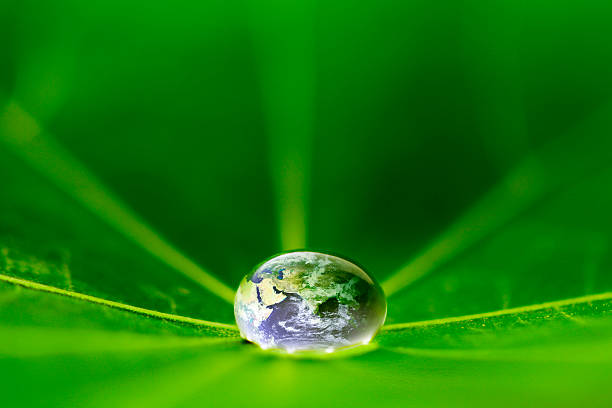 istock The world in a drop of water 475106911