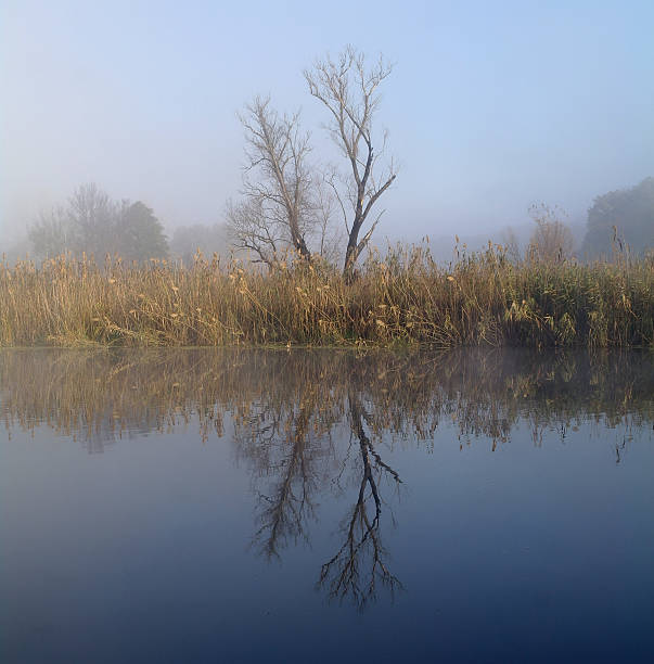 istock River landscape and  autumn wood 475107482