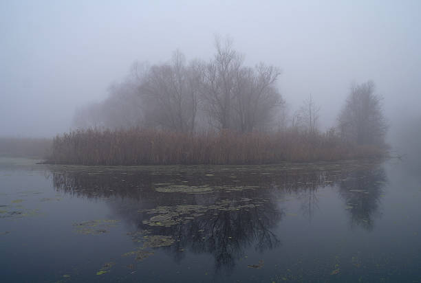 istock River landscape and  autumn wood 475107768