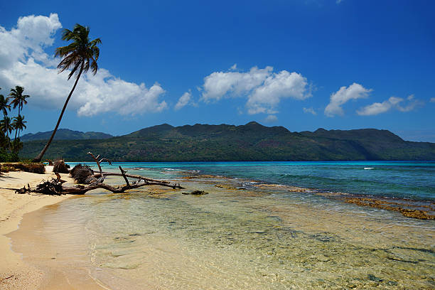 istock Samana peninsula, Dominican Republic , playa rincon beach 475108176