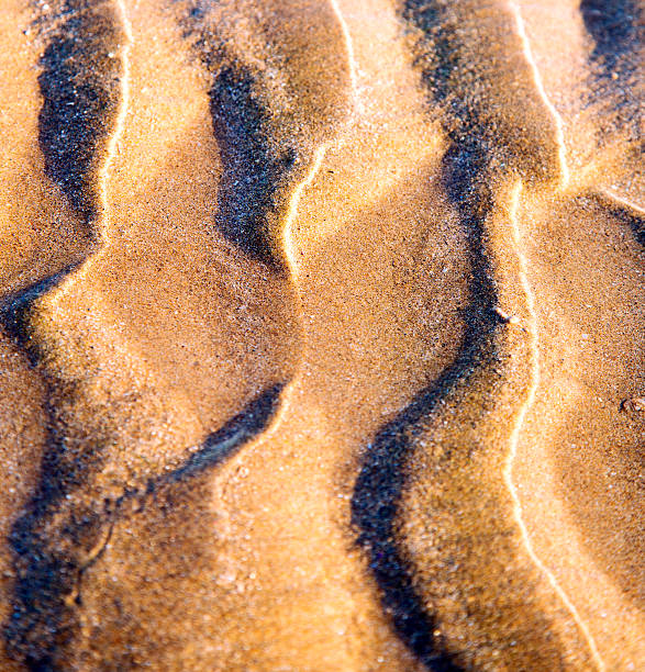 istock dune morocco in africa brown coastline wet 475113182