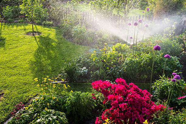 annaffiare flowerbeds - fence formal garden gardening ornamental garden foto e immagini stock