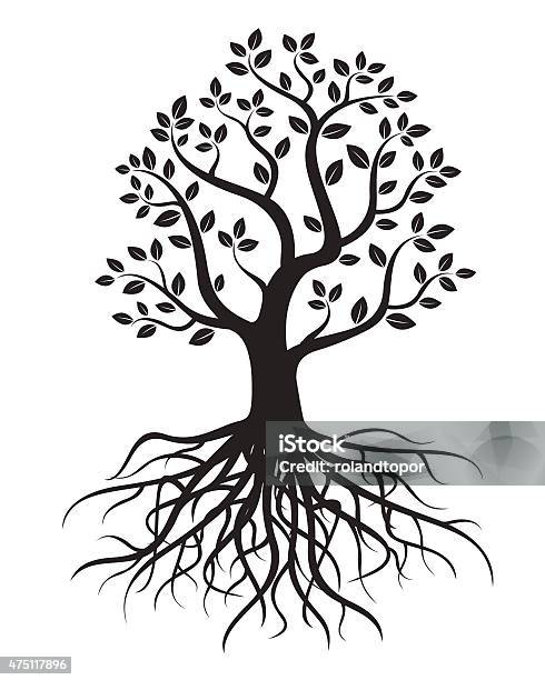 Vector Tree With Roots Vector Tree With Roots And Leafs Stock Illustration - Download Image ...
