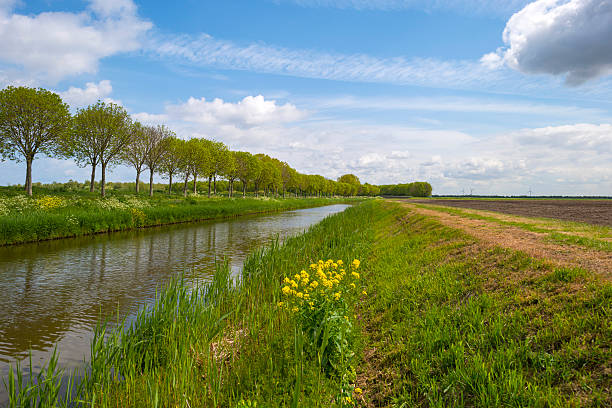 istock Canal through a sunny rural landscape in spring 475124222
