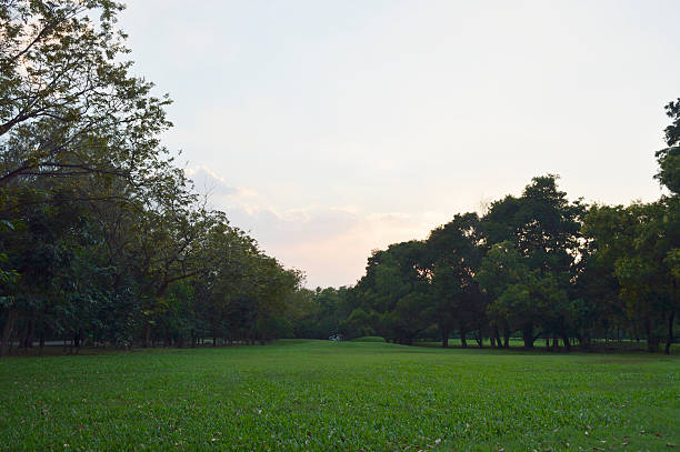 istock beautiful landscape with bicycle at park 475125454