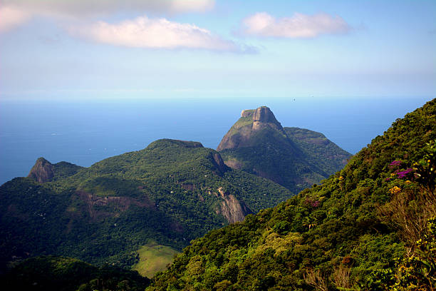 parc national de la forêt de tijuca - hillock photos et images de collection