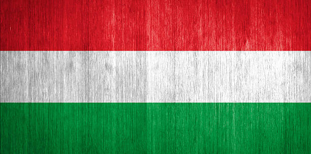 istock Hungary Flag on wood background 475130875