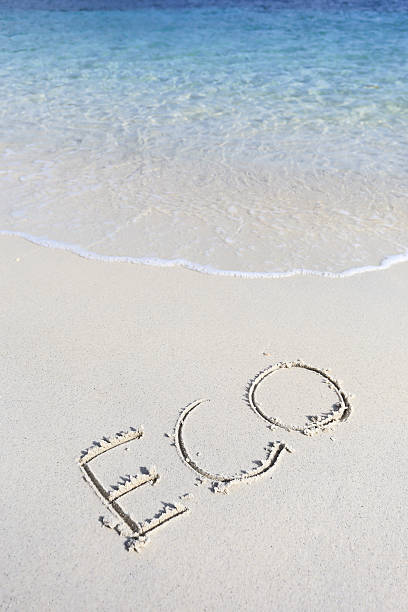 istock eco handwritten in sand on a beach 475132201