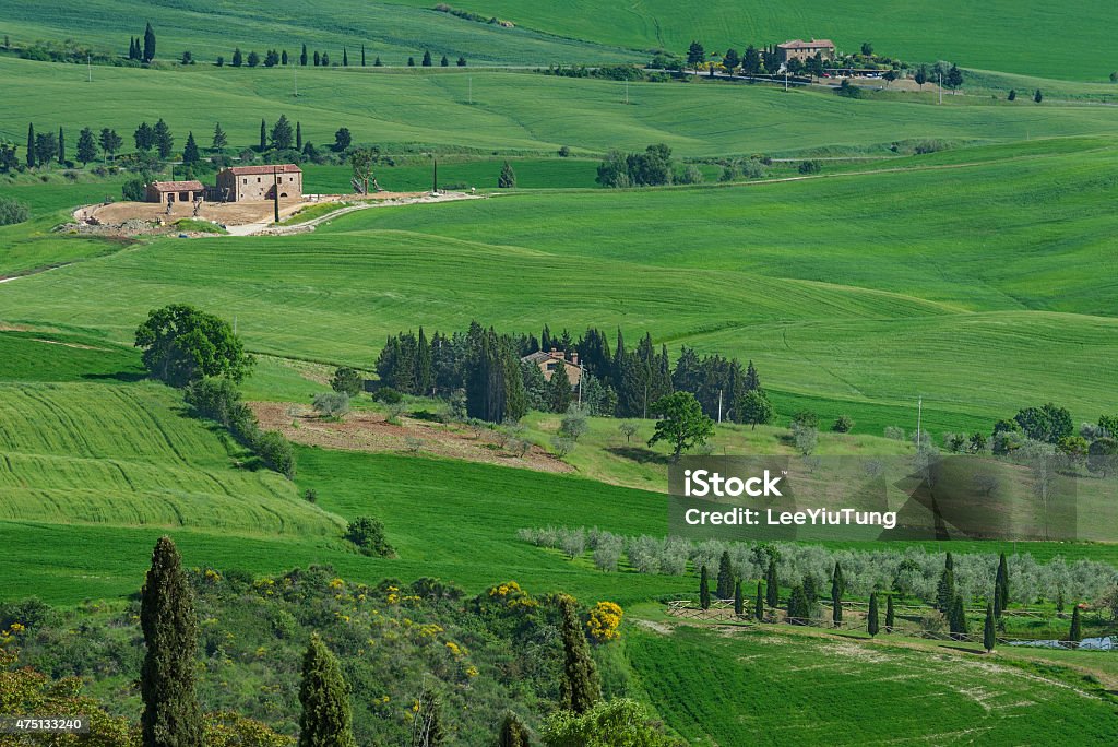 Rural scene of Tuscany, Italy Stunning Landscape in Tuscany, Italy 2015 Stock Photo