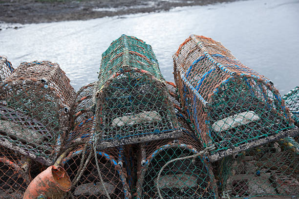 istock Scotland - Lobster pots 475134228