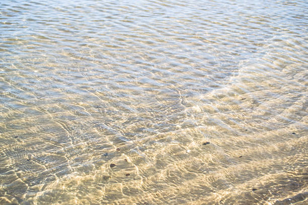 istock Soft wave of the sea on the sandy beach 475135264