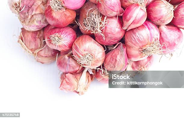 Red Scallion On White Background Stock Photo - Download Image Now - 2015, Agriculture, Allium Flower