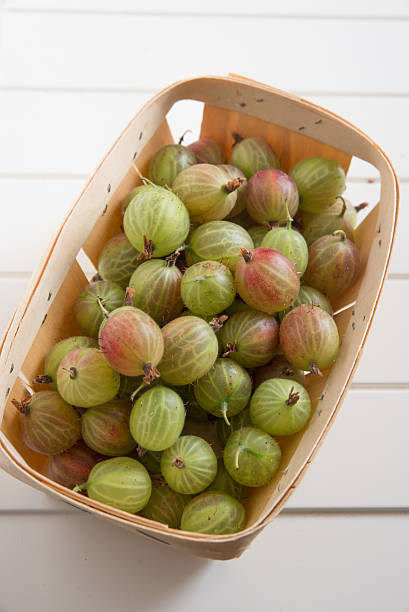 istock Organic green gooseberries 475139540