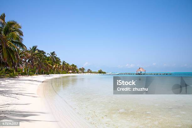 Beach On The Isla Contoy Mexico Stock Photo - Download Image Now - Contoy Island, Beach, Blue