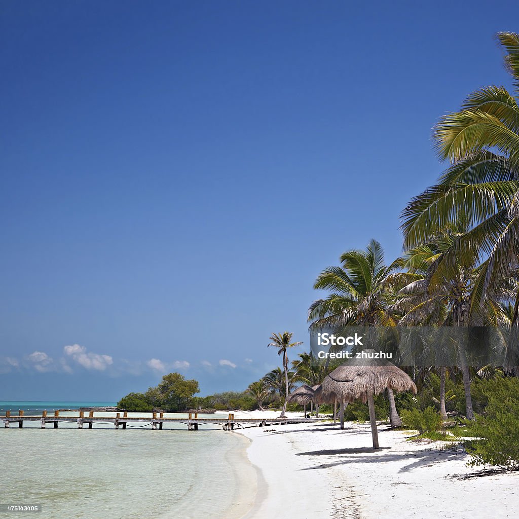 beach on the Isla Contoy, Mexico beach with pier on the Isla Contoy, Mexico Beach Stock Photo