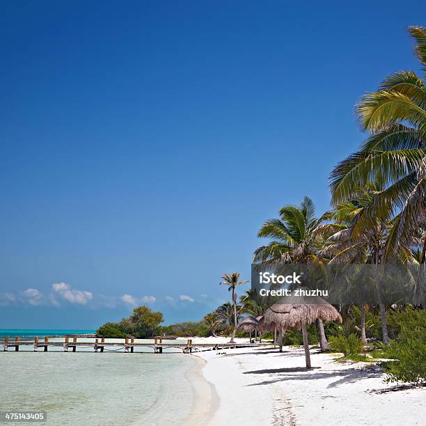 Beach On The Isla Contoy Mexico Stock Photo - Download Image Now - Beach, Blue, Caribbean Sea