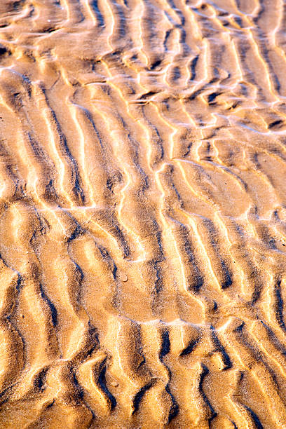 istock dune morocco   wet sand beach near atlantic ocean 475143782