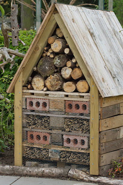 istock Insect hotel, home for useful garden insects 475144304