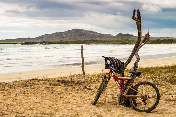 rojo y amarillo bicicleta por la playa - rule of third fotografías e imágenes de stock