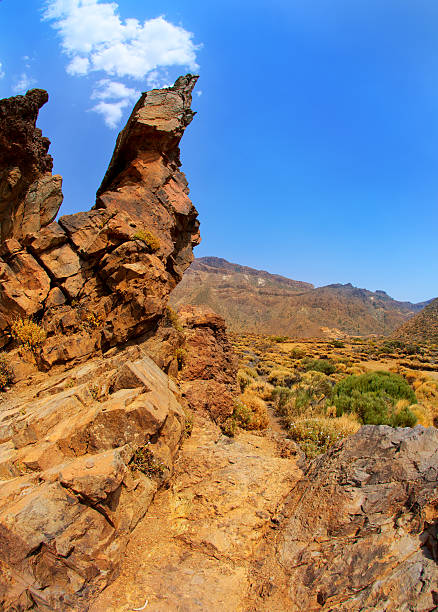 istock Canary islands in Tenerife Teide National Park 475155352