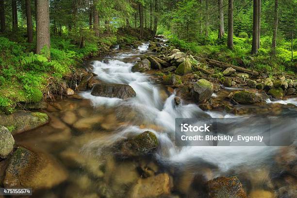 River Stock Photo - Download Image Now - 2015, Clean, Day