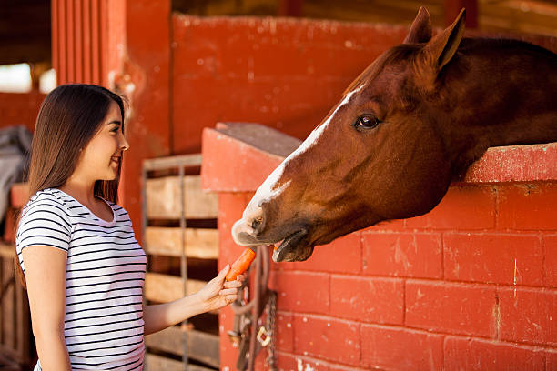 Cute girl feeding a horse during a equine therapy session in a ranch