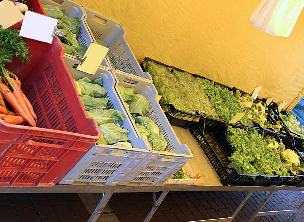 istock fresh vegetables in the grocery store stall 475159300