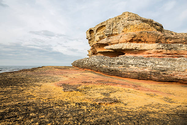istock Pink rocks, Kandira, Kocaeli, Turkey 475159971