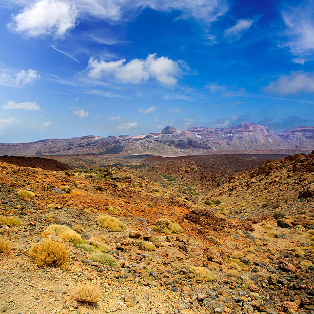 istock Canary islands in Tenerife Teide National Park 475161482