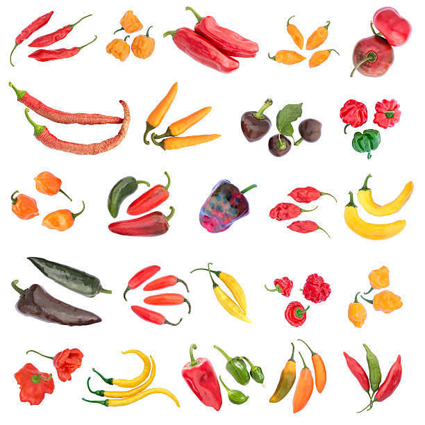 Twentyfour Varieties of Chili Pepper isolated on white background A collection of 24 different Chili peppers. Chilies of the Capsicum annuum -, Capsicum chinense - and Capsicum baccatum - family. The pods in vibrant colors are isolated on pure white background (rgb: 255,255,255). There are very sweet and mild (heat level 1-2) and also very hot (heat level 10) chili peppers. The names of the chili peppers: anaheim pepper photos stock pictures, royalty-free photos & images