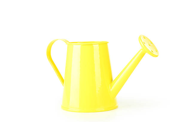 istock Yellow watering can isolated on white 475165752