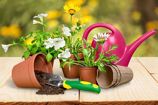 istock Gardening Equipment, Flower Pot, Flower 475167310