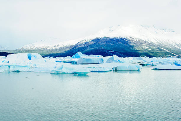 istock Icebergs in Lake Argentina 475167770
